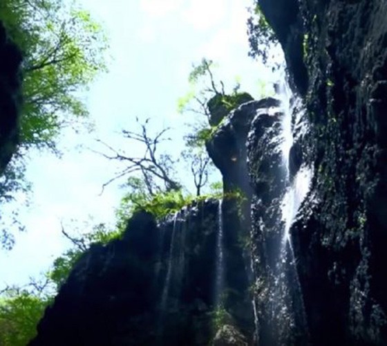青山綠水，白龍江畔江畔息白鷺，兩岸綠橄欖入眼的都是純樸自然枝上花開(kāi)，春來(lái)水暖魚(yú)蝦戲水，鳥(niǎo)語(yǔ)花香心中充滿(mǎn)著舒暢之感祥宇生態(tài)產(chǎn)業(yè)園，位于隴南市武..